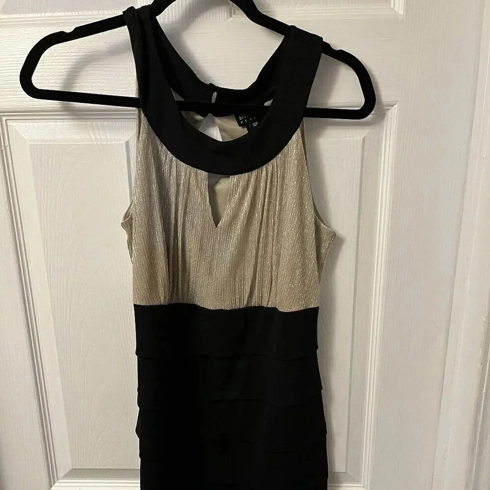 Women’s Enfocus Dress Size 10P